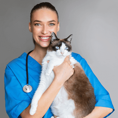 Kedi Aknesi