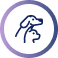 VetAmerikan’a Ücretsiz Transfer Hizmeti