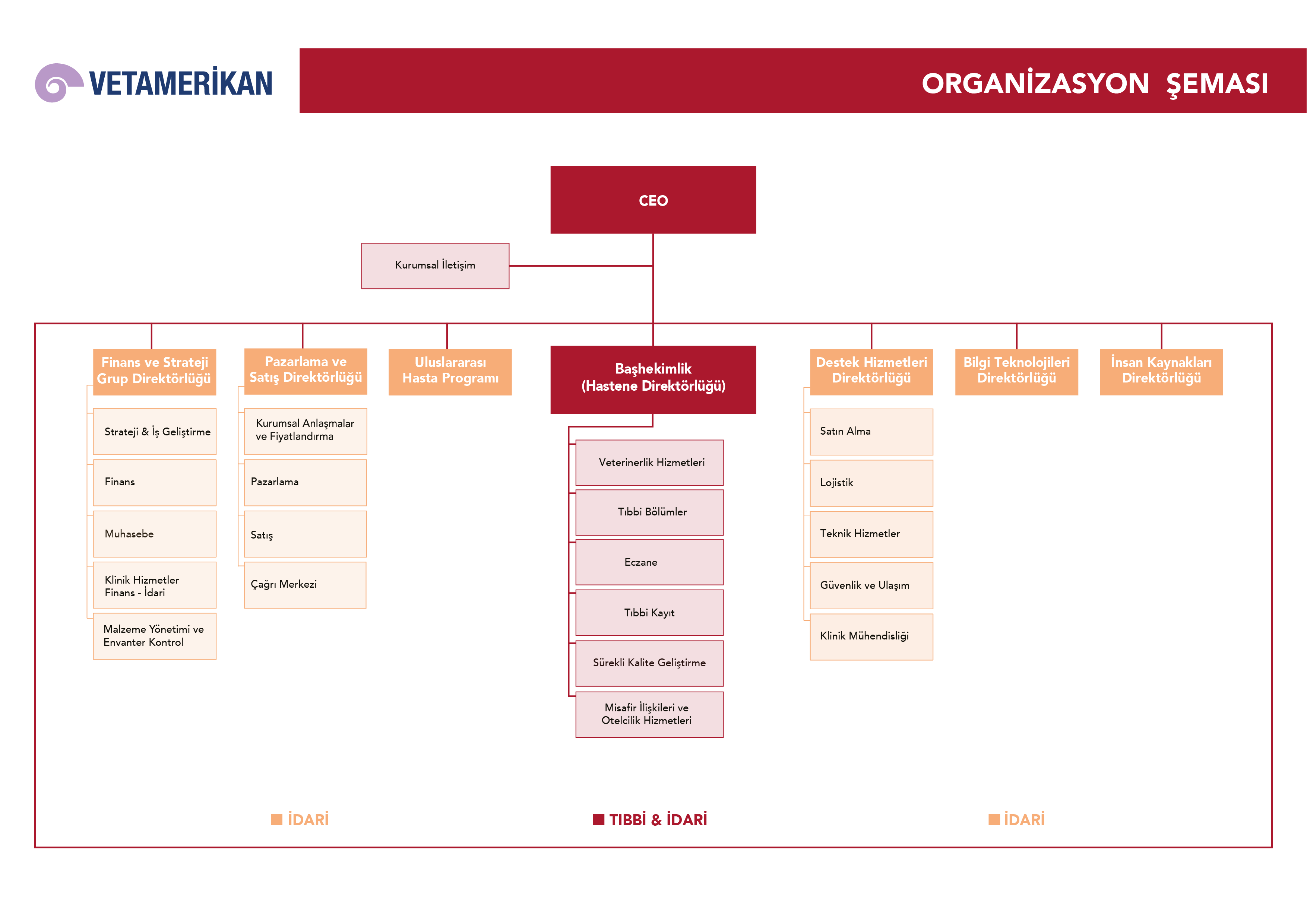 VetAmerikan Organizasyon Şeması