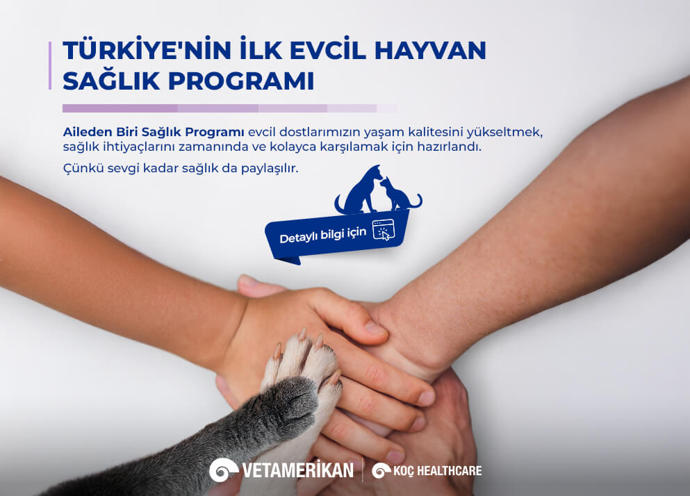 Türkiye nin İlk Evcil Hayvan Sağlık Programı