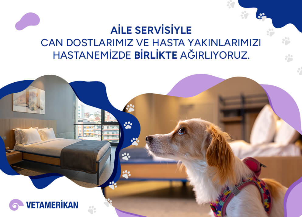 7/24 Kesintisiz Sağlık