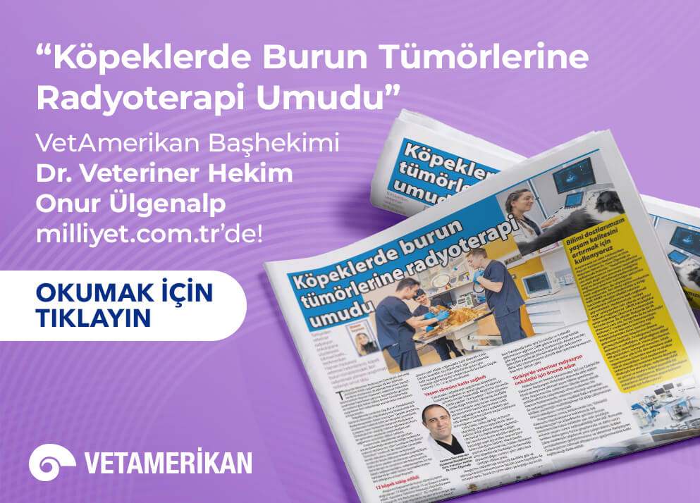 Köpeklerde Burun Tümörlerine Radyoterapi Umudu