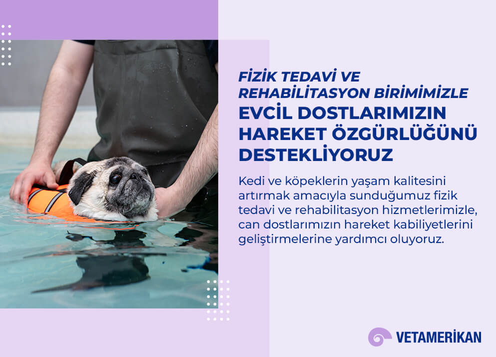 Fizik Tedavi ve Rehabilitasyon Birimimiz