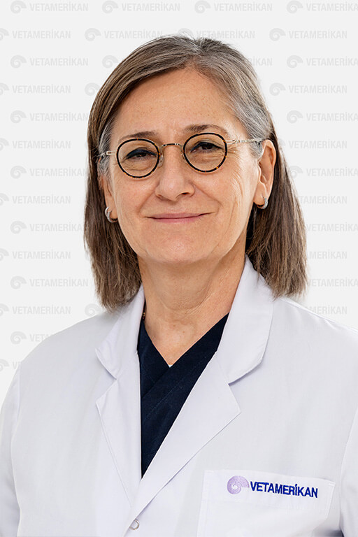 Prof. Dr. Prof. Dr. A. Perran Gökçe