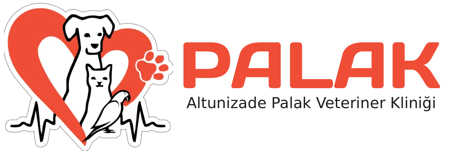 Altunizade Palak Veteriner Kliniği
